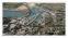 The Masterplan for Hayle Harbour